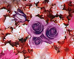 哪里學服裝數碼印花設計最好？